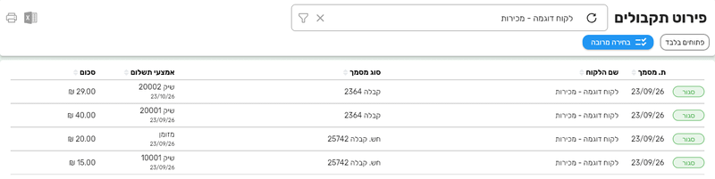 מסך פירוט תקבולים בביג בוס עם ארבע שורות תשלום של שיקים ומזומן מקבלה ומחשבונית מס קבלה