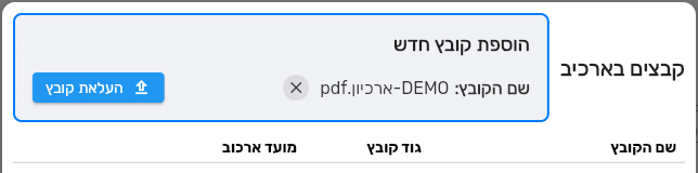 אזור הוספת קובץ חדש בחלון קבצים בארכיב בביג בוס אחרי בחירת קובץ, עם שם הקובץ והכפתור העלאת קובץ