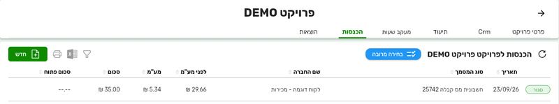הלשונית הכנסות בכרטיס פרויקט בביג בוס עם מסמך הכנסה שמשויך לפרויקט
