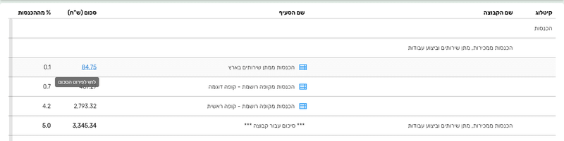 דוח רווח והפסד בביג בוס עם סכום של סעיף שנצבע בכחול והרמז לחץ לפירוט הסכום, וסמל הרשימה ליד כל סעיף